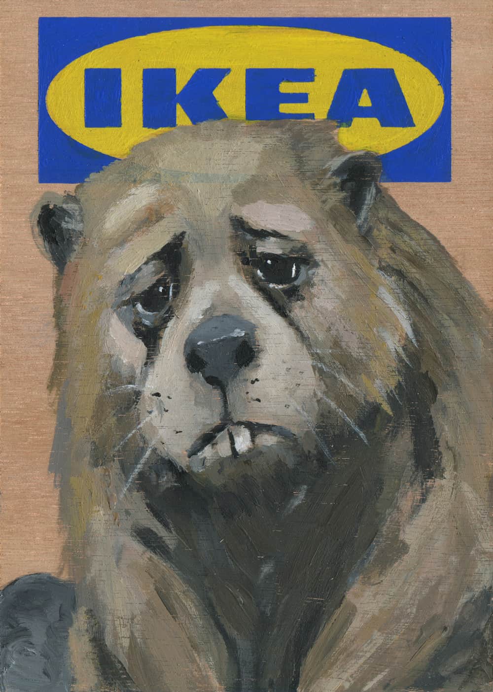 Ikea (1)