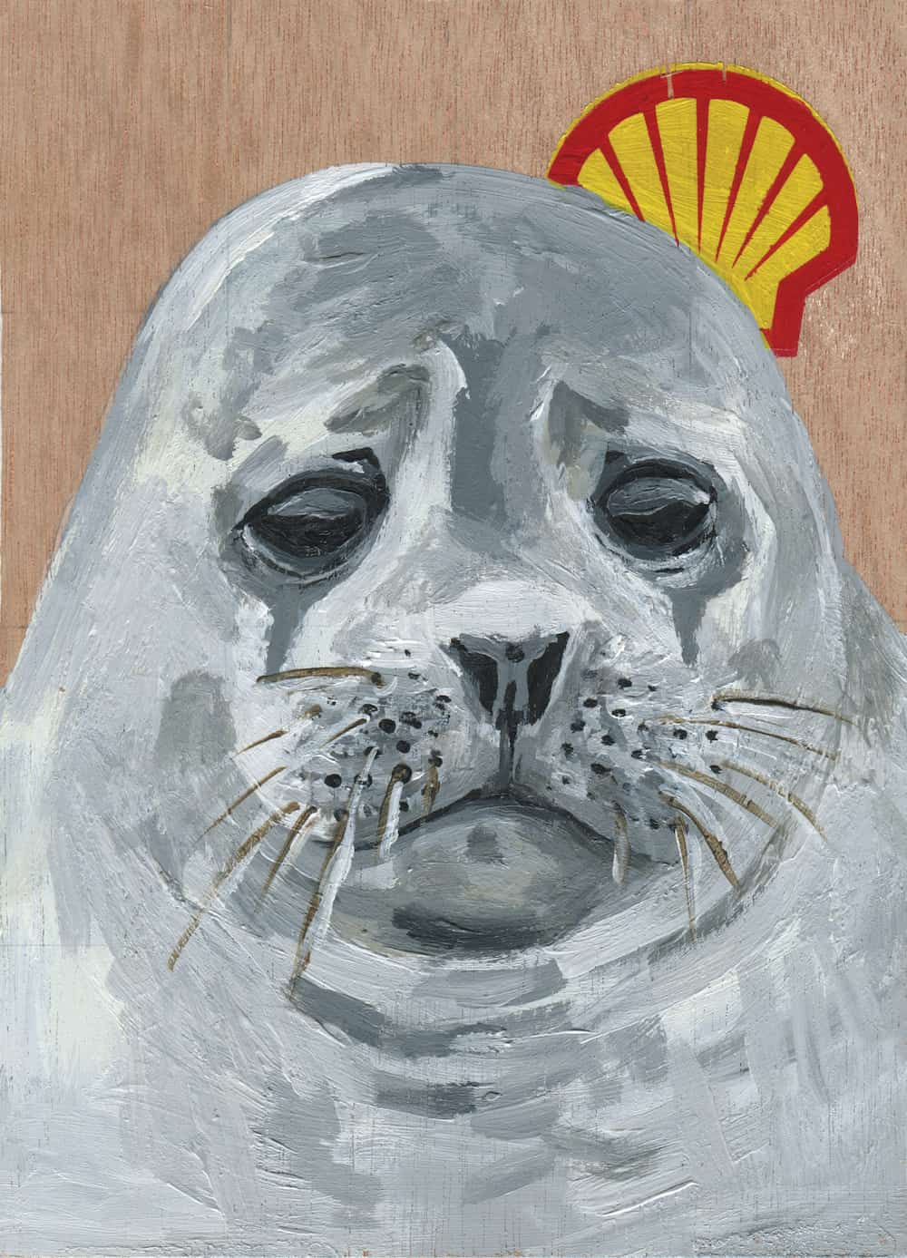 Shell (1)
